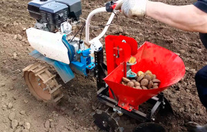 Фото: Процесс посадки картофеля молочным блоком